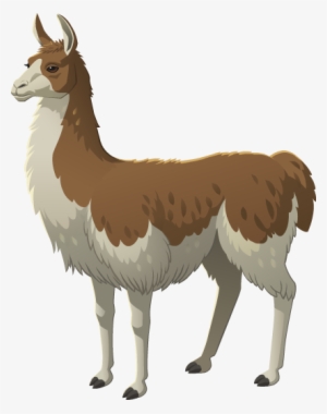 Brown Llama - Llama Png #281057
