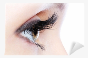 Eye With A Long Curl False Eyelashes Wall Mural • Pixers® - Most Beautiful Eyes Without Makeup #281884