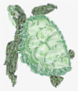 Watercolor Graphic - Red Eared Slider #281997