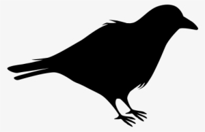 Halloween Crow Png Image Transparent - Raven Clipart Black And White Png #283105