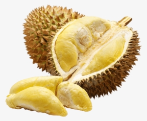 Inside Of Durian - Durian Fruits #283418