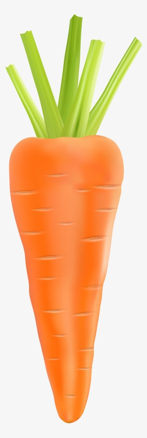 Clipart Vegetables Carrot - Transparent Background Carrot .png #283576