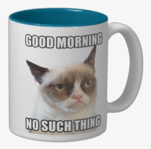 Grumpy Cat Porcelain Mug Go Away #283597
