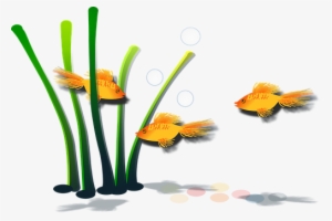 Goldfish Fish Aquamarine Aquatic Marine Wa - ภาพ วาด พืช น้ำ #284435