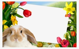 Shab E Qadar Mubarak #284649