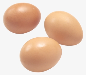 Chicken Egg Transparent Background #284701