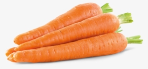 Carrot Hd Transparent Images Clip Royalty Free - Fresh Carrots #285042