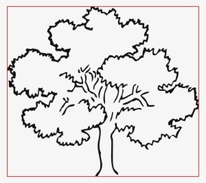 Download Oak Tree Drawing Png | PNG & GIF BASE