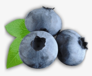 Zoom On Blueberries - Transparent Blueberry Clipart #286436