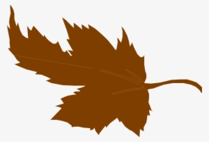 Leaf Rust Svg Clip Arts 600 X 411 Px #286638