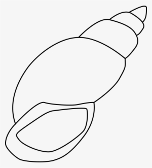 Shell Clipart Black And White - Shell Clip Art Black And White #286905