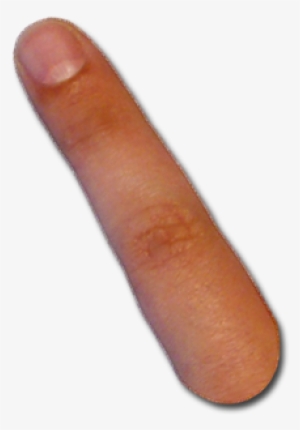 All Prescott Computer Guy Cursors In A Zipped Folder - Macro Photography #287519