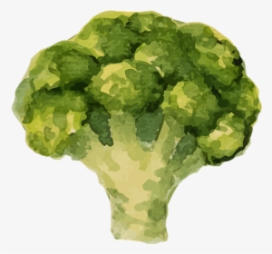 Benefits Of Eating Health, For Kids - Vegetable #287867