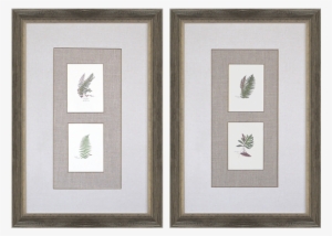 Ferns Pk/2 - Gracie Oaks 'ferns' 2 Piece Graphic Art Print Set #287871