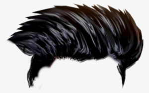 Hd Hair Png Cb Hair Png Download - Editing Hair Png Hd #288238