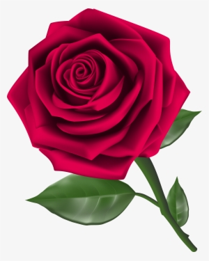 Rose Png #288366
