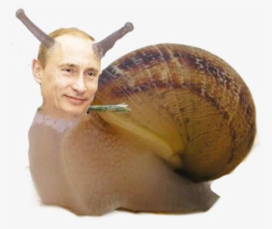 Saanko Esitellä, Snutin - Funny Snails #288573