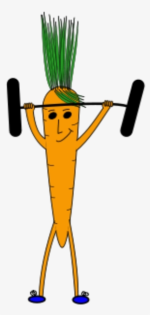 How To Set Use Weightlifting Carrot Clipart #288731