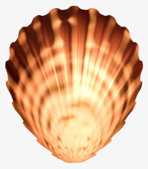 Seashell Png Image Transparent - Seashells Png #288955