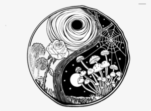 Transparent Yin Yang - Yin Yang #289507