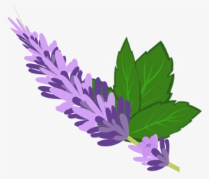 Lavender Mint Cutie Mark By Jaelachan On Deviantart - Cartoon Pictures Of Lavender #289558