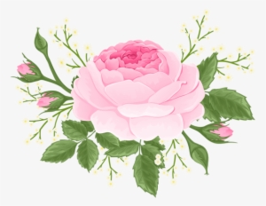 Pink Rose With White Flowers Png Clip Art Image Gallery - Garden Roses #289959
