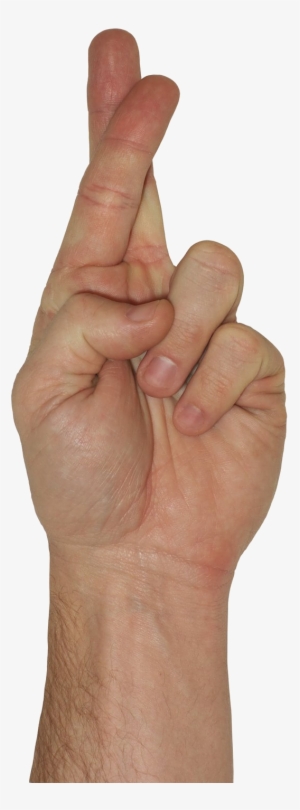 Keeping My Fingers Crossed For Western Localization - Sign Language #2800281