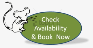 Real Time Online Bookings - Avoid Disappointment Book Now #2801443