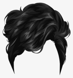 Black Hair PNG, Transparent Black Hair PNG Image Free Download - PNGkey
