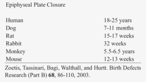 Skeletal System - Gemeente Zoeterwoude #2802244
