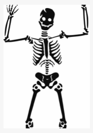 Skeletal System By Lucas Krish And Davin - Clipart Skeleton #2802623