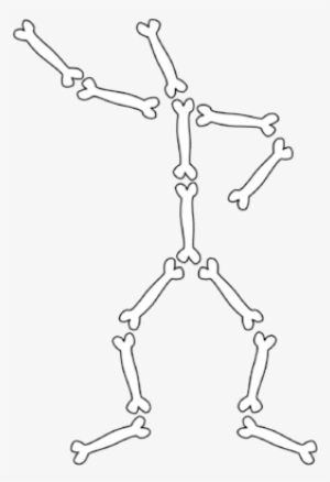 Drawn Skeleton Bone - Human Body Bones Png #2802661