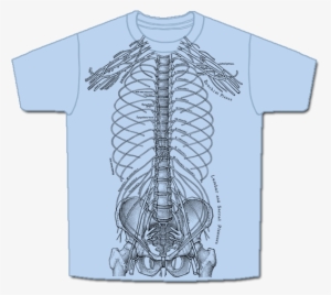 The Nervous System Is Printed In Black Ink On A Blue #2802685 The Nervous System Is Printed In Black Ink On A Blue #2802685