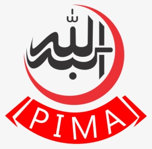 Pakistan Islamic Medical Association #2802790