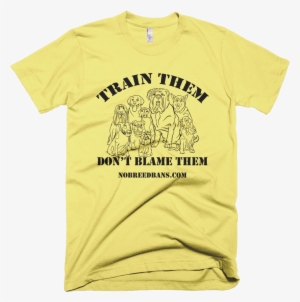 Image Of Train Them Don't Blame Them Lemon Xs - Man Punjabi T Shirts #2803379