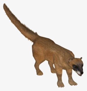 Siberian Weasel - Wiki #2804438