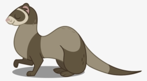 Related Png Images - My Little Pony Ferret #2804538