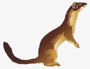 Weasel Clip Art - Clip Art #2804715