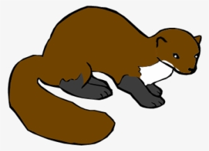 Weasel - Ferret #2805121