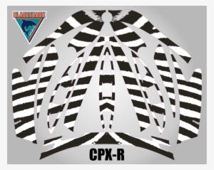 Zebra Stripes - Zebra #2805806