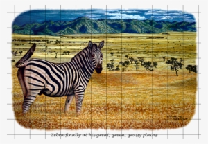 Zebra Plains Web Gr - Wildmoz #2805824