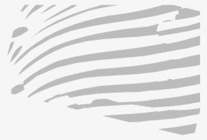 Zebra-stripes - Monochrome #2805863