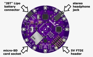 Lilypad Mp3 Player Connectors - Lily Pad Anatomy #2805898