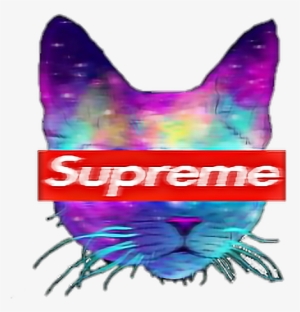 Cat Tumblr Supreme Cool Catsofpicsart Galaxy Supremest - Cool Supreme #2807341