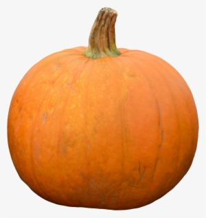 Pumpkin Png Image1 - Pumpkin #2807634