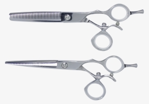 6'' Swivel Matching Set Shears Scissors Set Jsw155 - Shears Scissors #2808441