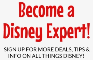 Bibbidy Bobbidy Boo, You're In Check Your Inbox For - Inappropriate Clothing At Disney World #2809591