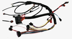Refrigerator Wiring Harness - Wire Harness Png #2809874