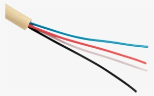 1 - 2 - - Wire #2810018