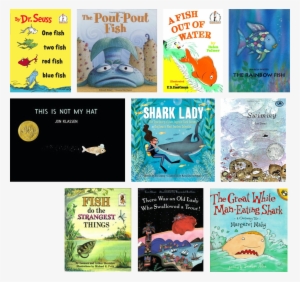 Shark Lady By Jess Keating & Marta Alvarez Miguens #2810109